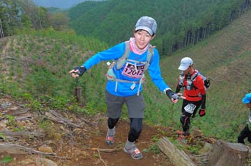 hase71k2014_2785