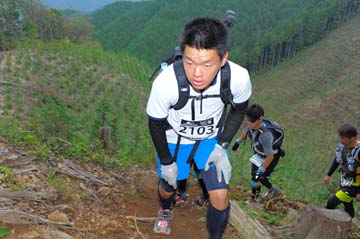 hase71k2014_2803
