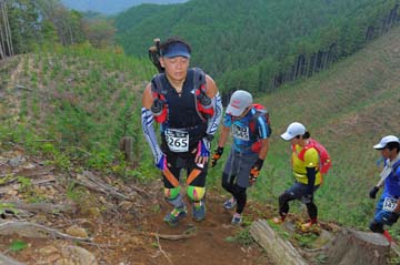 hase71k2014_2829