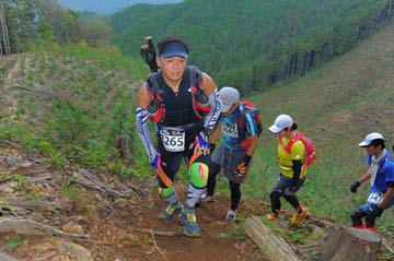 hase71k2014_2830