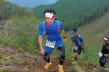 hase71k2014_2859
