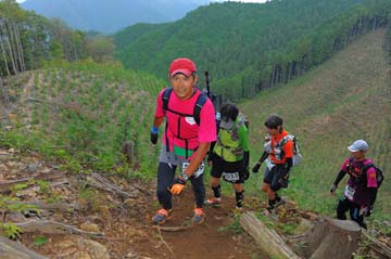 hase71k2014_2886