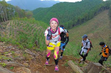 hase71k2014_2919