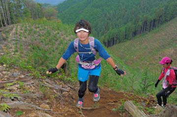 hase71k2014_2924