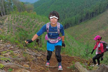 hase71k2014_2925