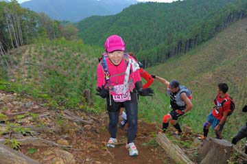 hase71k2014_2926