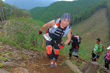hase71k2014_2928