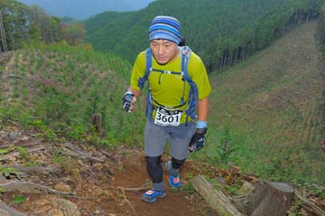 hase71k2014_2970