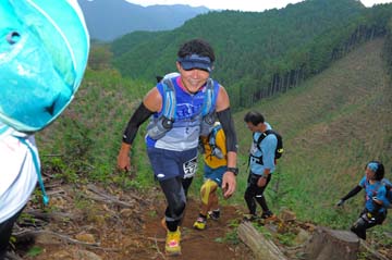 hase71k2014_2980
