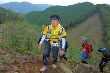 hase71k2014_3135