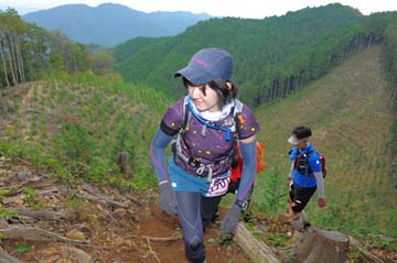 hase71k2014_3218