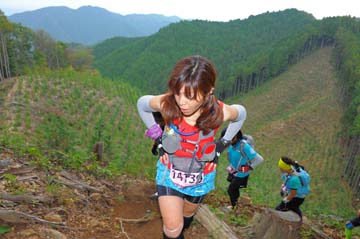 hase71k2014_3255