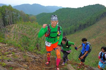 hase71k2014_3288
