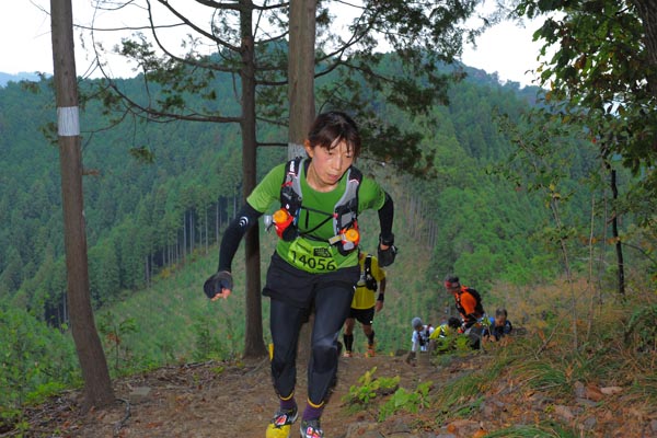 hase71k2015_0159