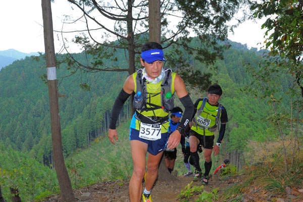 hase71k2015_0181