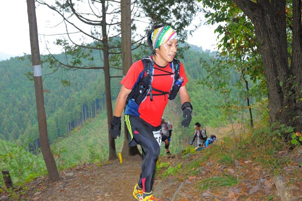 hase71k2015_0407