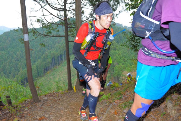 hase71k2015_0491