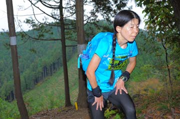 hase71k2015_0025