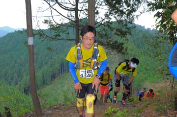 hase71k2015_0167