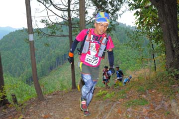 hase71k2015_0522