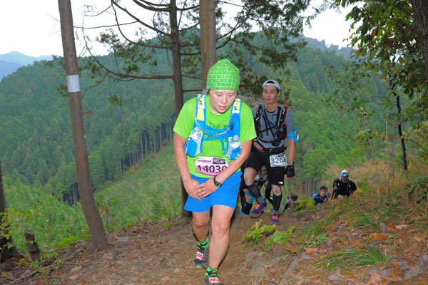 hase71k2015_0713