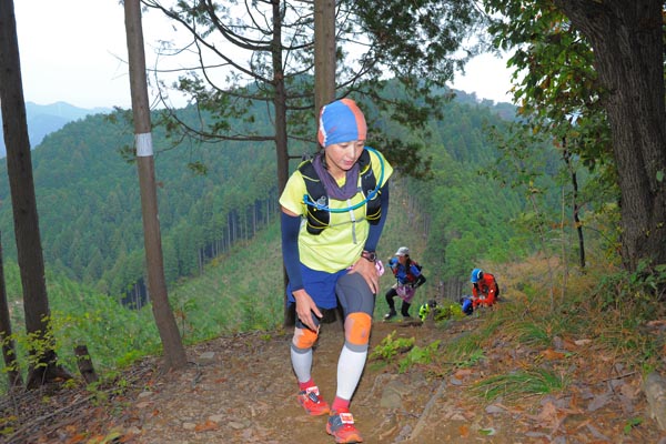 hase71k2015_1028