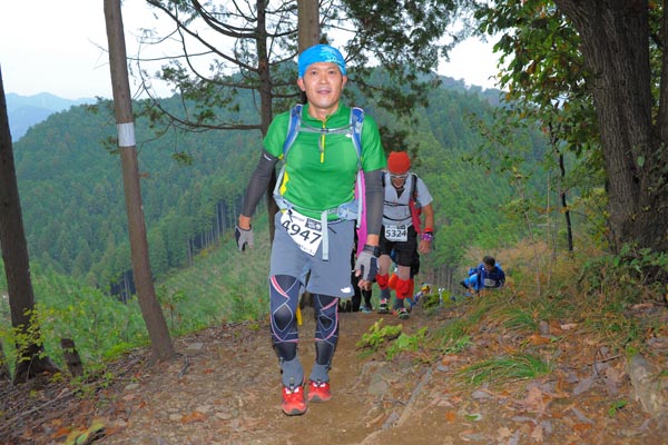 hase71k2015_1036
