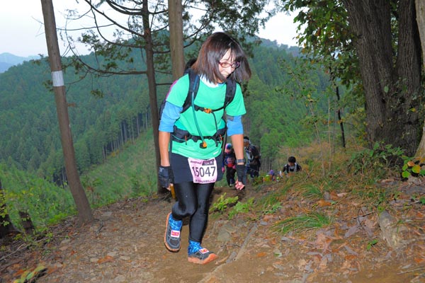 hase71k2015_1104