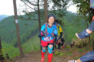 hase71k2015_0703