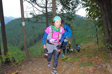 hase71k2015_0801