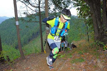 hase71k2015_0949
