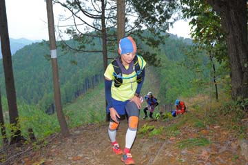 hase71k2015_1028