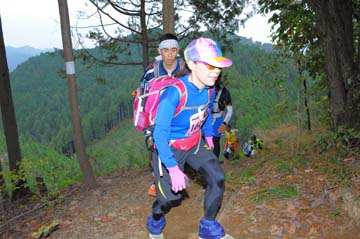hase71k2015_1107