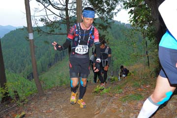 hase71k2015_1117