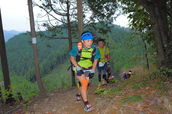 hase71k2015_1124