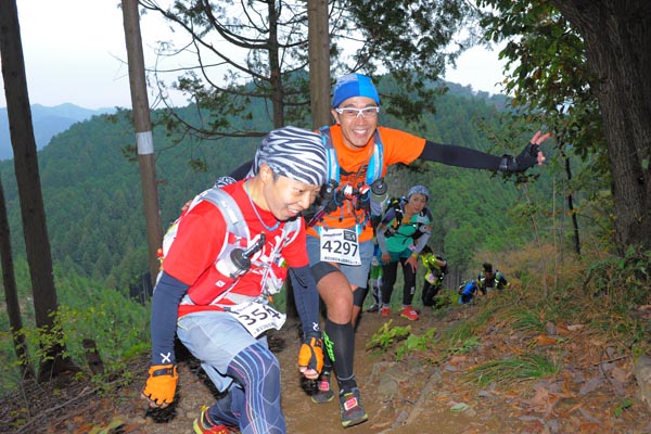 hase71k2015_1132