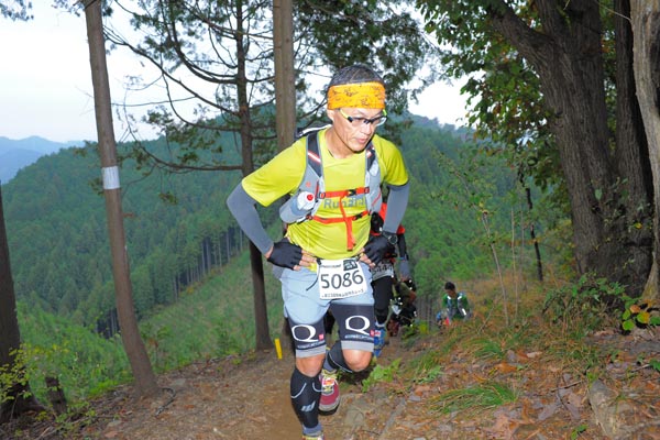 hase71k2015_1211