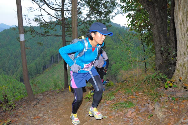 hase71k2015_1231
