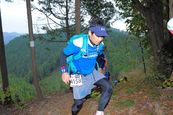 hase71k2015_1280