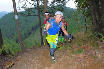 hase71k2015_1128