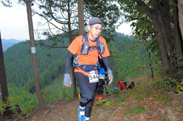 hase71k2015_1212