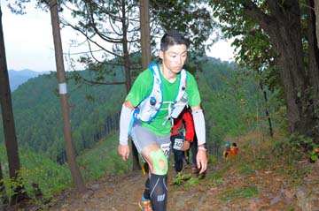 hase71k2015_1217
