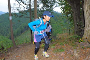 hase71k2015_1231