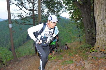 hase71k2015_1238