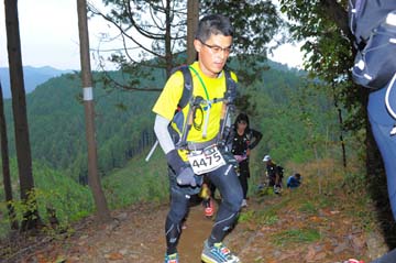 hase71k2015_1266
