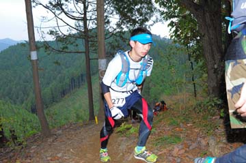 hase71k2015_1295