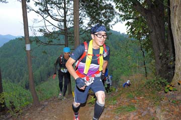 hase71k2015_1309