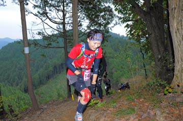 hase71k2015_1330