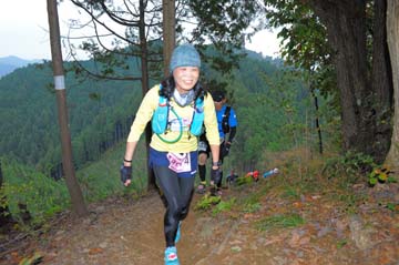 hase71k2015_1378