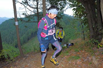 hase71k2015_1397